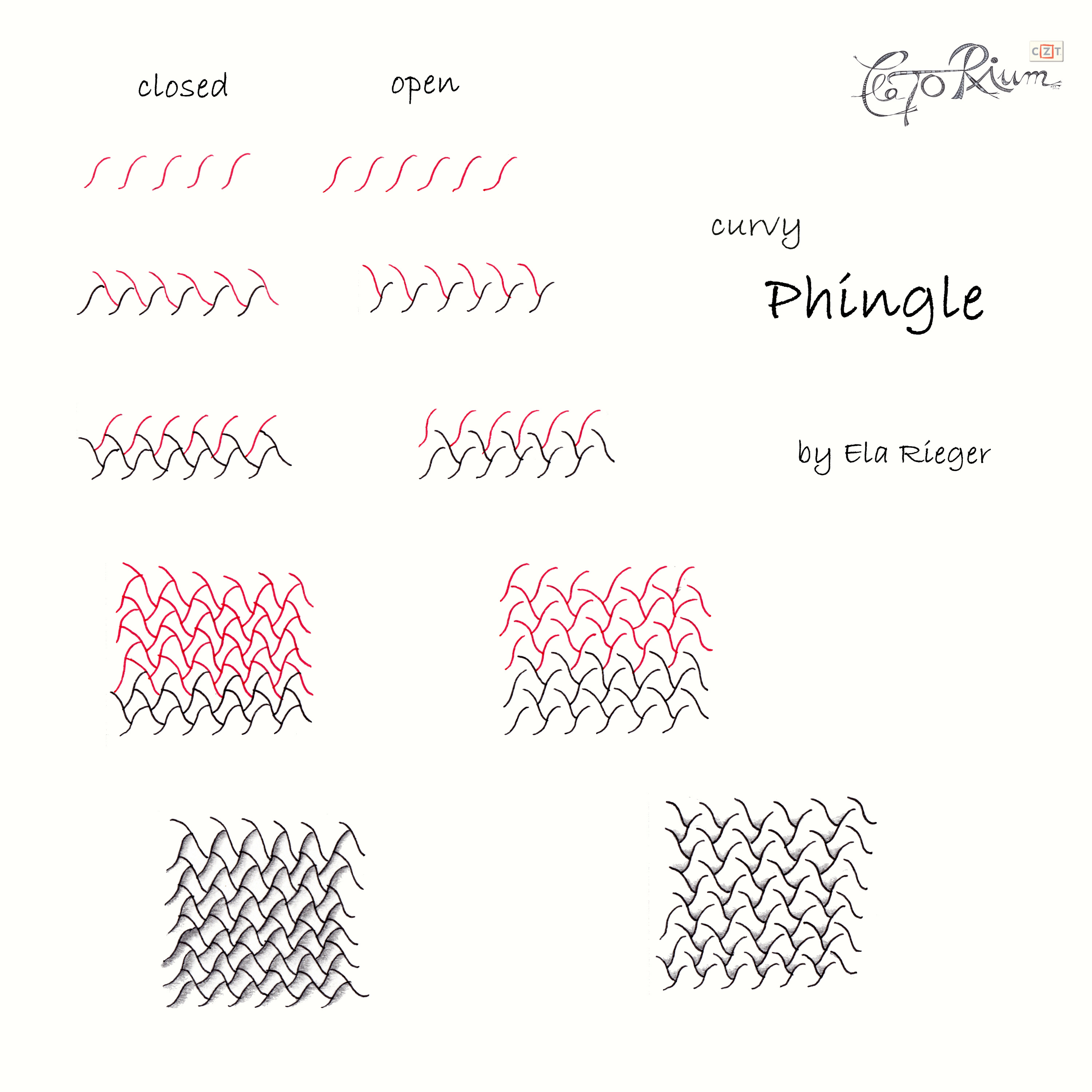 step curvy phingle ela rieger