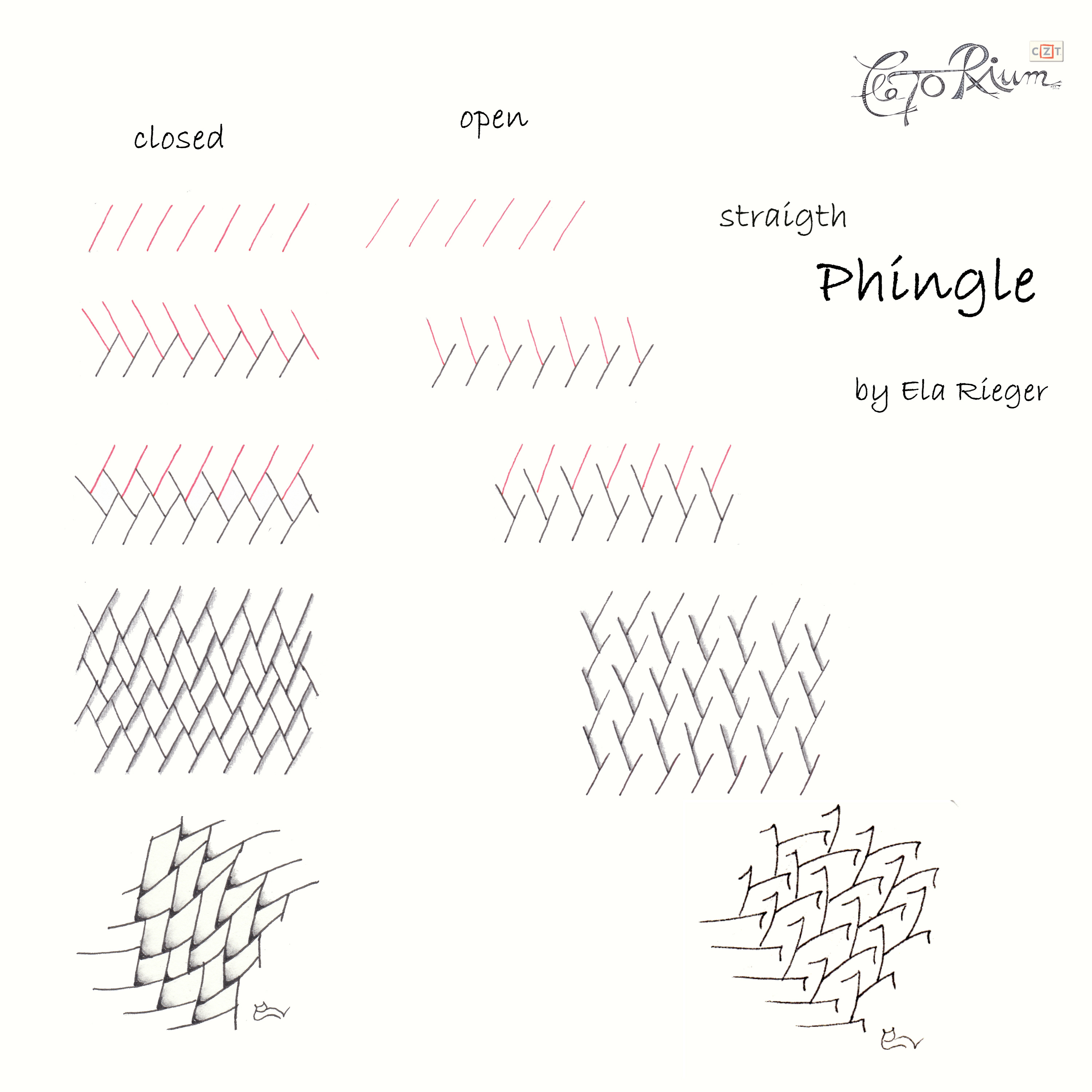 step straight phingle ela rieger