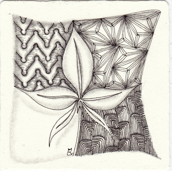 Ein Zentangle aus den Mustern Phroze, Krisp, Crestfallen, Horse Chestnut gezeichnet von Ela Rieger, CZT