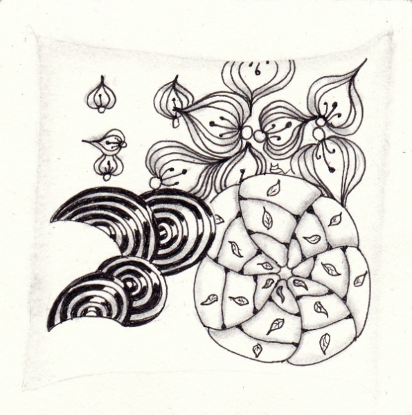 Ein Zentangle aus den Mustern Disco, Rauschi, Wrap,  gezeichnet von Ela Rieger, CZT