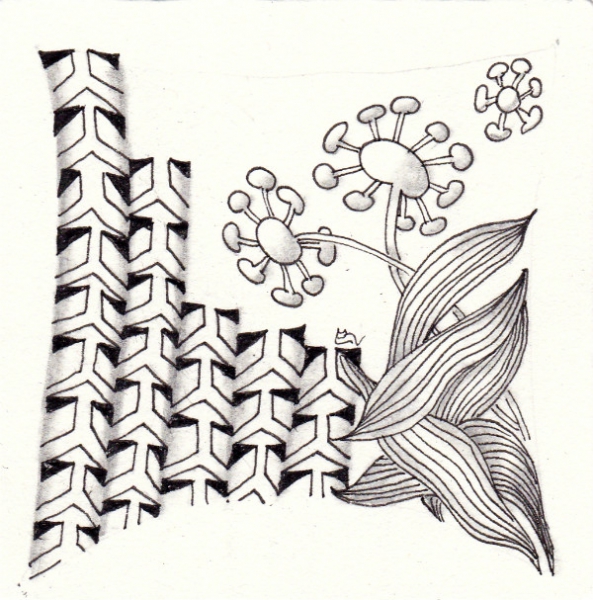 Ein Zentangle aus den Mustern Knobeez, Nudibranch, Pointerz,  gezeichnet von Ela Rieger, CZT