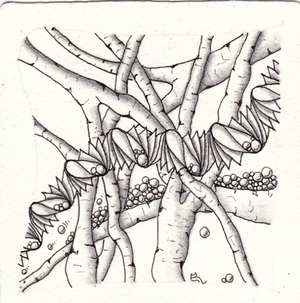 Ein Zentangle aus den Mustern Hollibranch, Hastate V2, Tipple,  gezeichnet von Ela Rieger, CZT