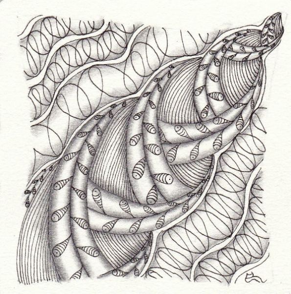 Ein Zentangle aus den Mustern Feesh, Chainging, Slinky,  gezeichnet von Ela Rieger, CZT