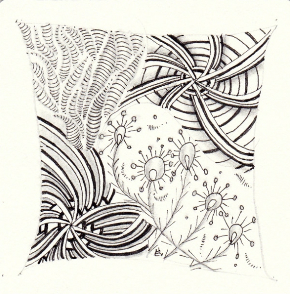 Ein Zentangle aus den Mustern Decollation, Indy-Rella, Coquess,  gezeichnet von Ela Rieger, CZT