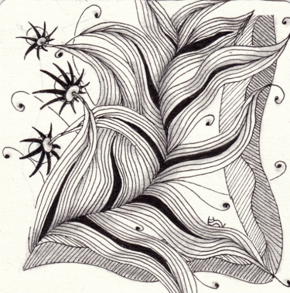 Ein Zentangle aus den Mustern Köpi2, Meer, Featherfall,  gezeichnet von Ela Rieger, CZT