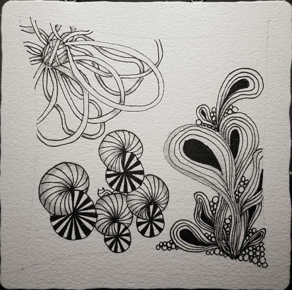 Ein Zentangle aus den Mustern Lupe, Cack, Pais,  gezeichnet von Ela Rieger, CZT