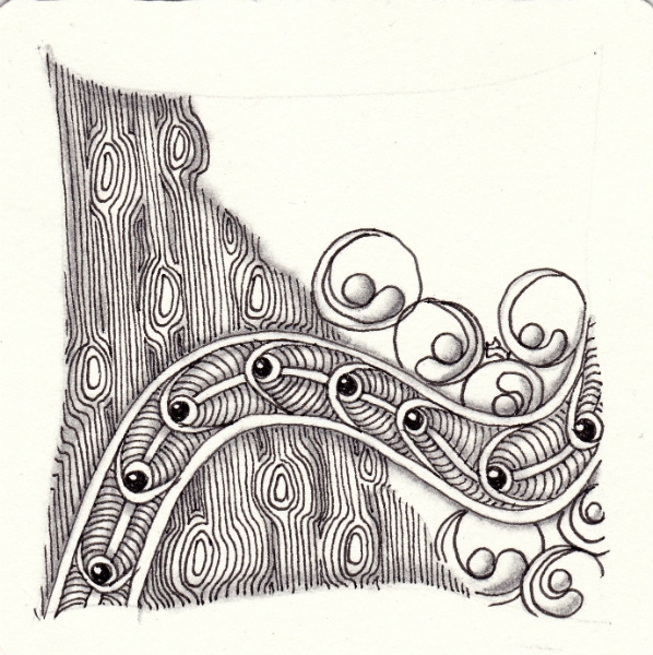 Ein Zentangle aus den Mustern Woody, Drobbles, Ovy,  gezeichnet von Ela Rieger, CZT