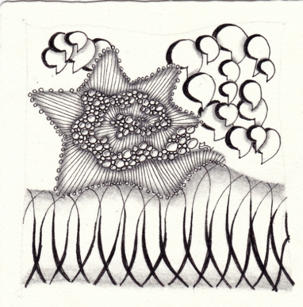 Ein Zentangle aus den Mustern Bubble Bobble Bloop, Contix, Morph,  gezeichnet von Ela Rieger, CZT