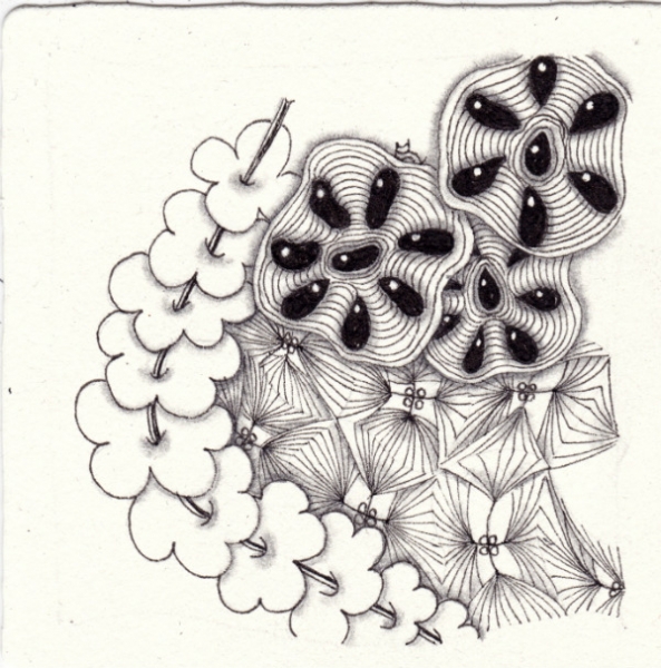 Die 785. Daily New Challenge