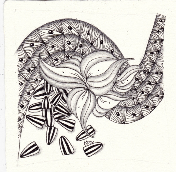 Die 787. Daily New Challenge