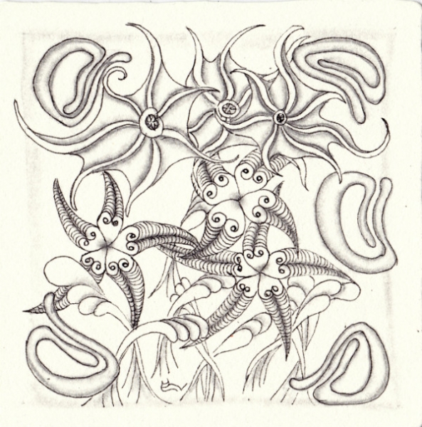 Die 800. Daily New Challenge