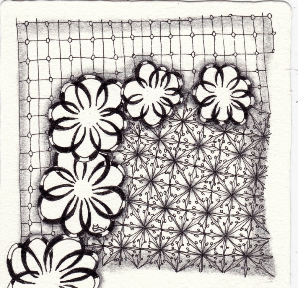 Die 807. Daily New Challenge