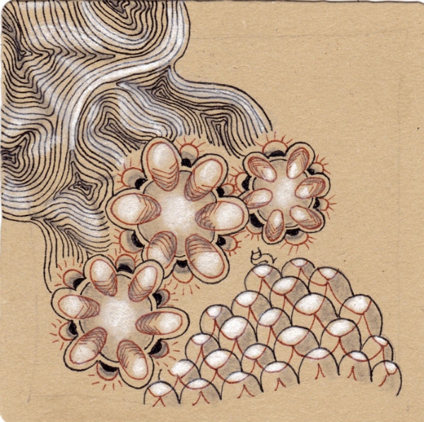 Die 858. Daily New Challenge