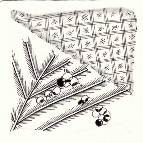 Die 875. Daily New Challenge
