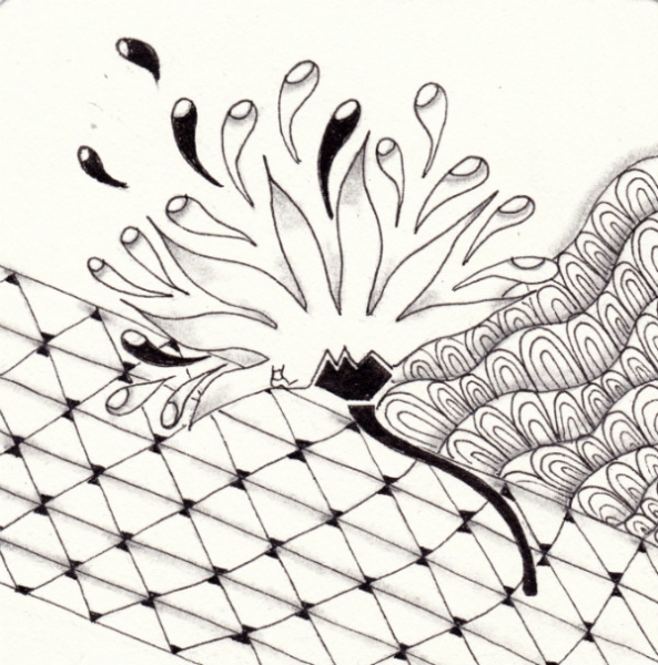 Die 922. Daily New Challenge