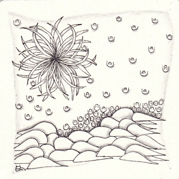 Die 993. Daily New Challenge