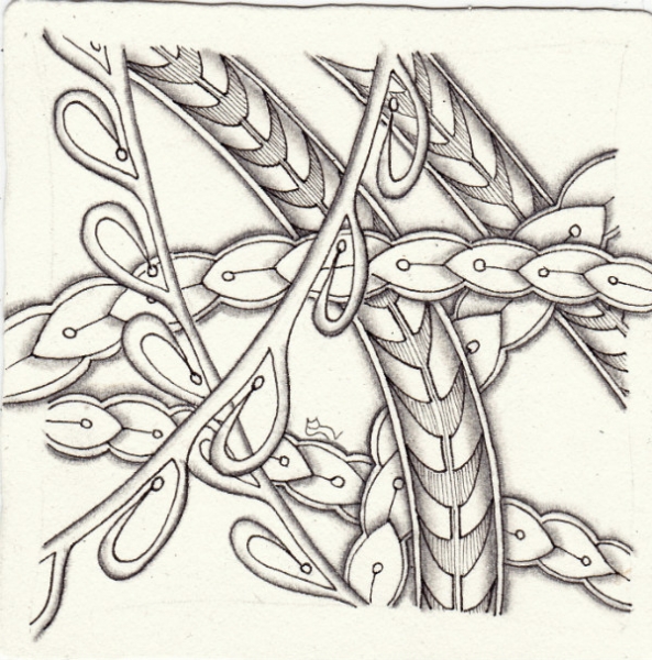 Die 1006. Daily New Challenge
