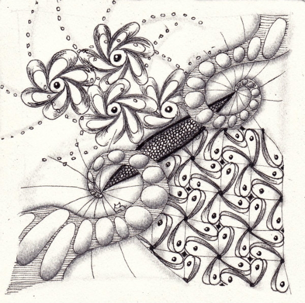 Die 1035. Daily New Challenge