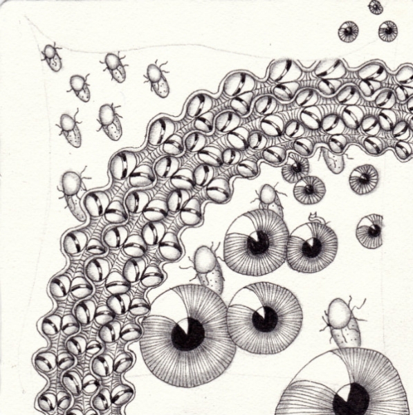 Die 1144. Daily New Challenge