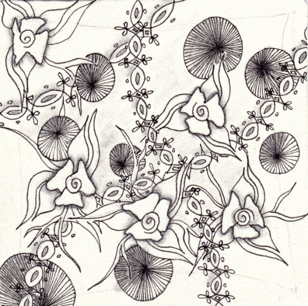 Die 1155. Daily New Challenge