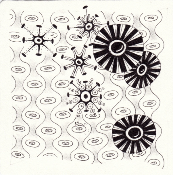 Die 1161. Daily New Challenge