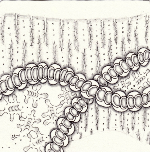 Die 1169. Daily New Challenge