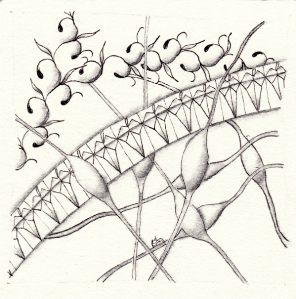 Die 1185. Daily New Challenge