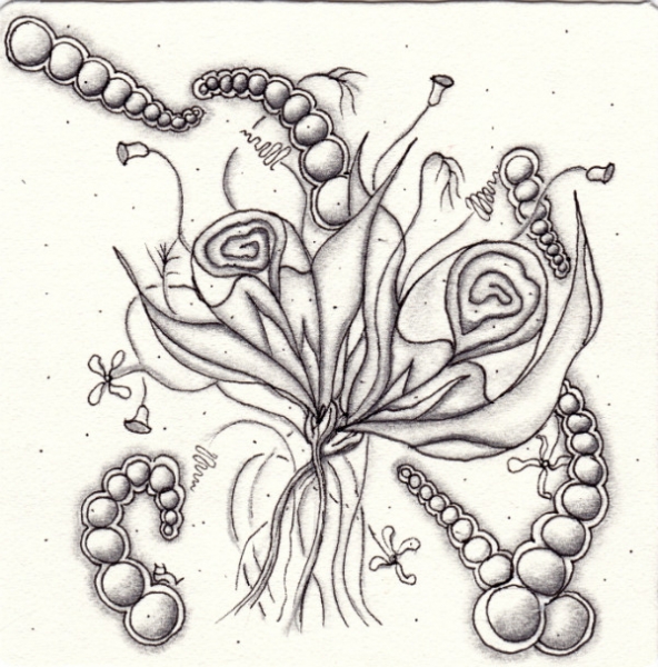 Die 1211. Daily New Challenge