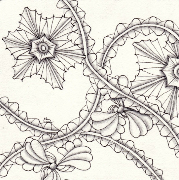 Die 1298. Daily New Challenge