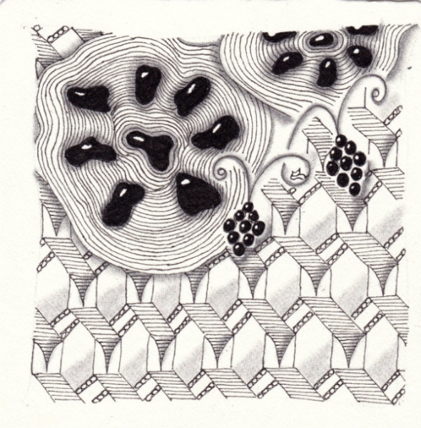 Die 1302. Daily New Challenge