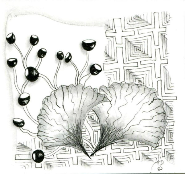 Die 1350. Daily New Challenge