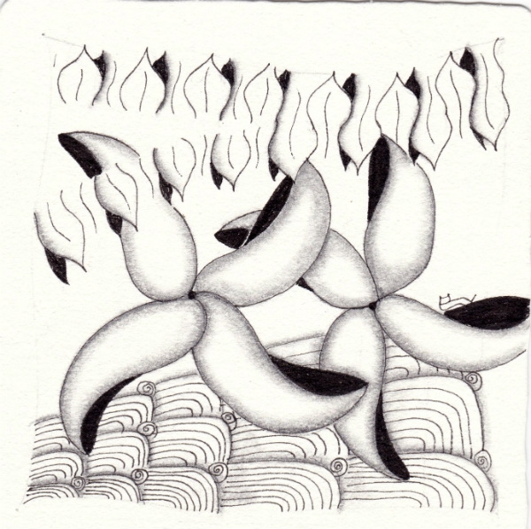 Die 1355. Daily New Challenge