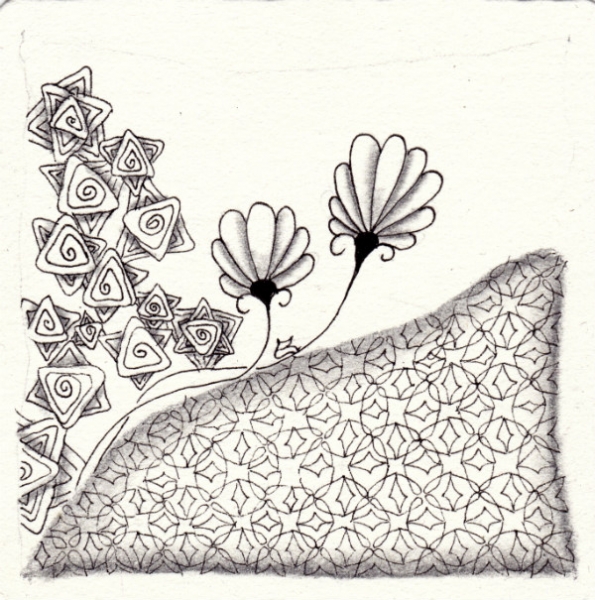 Die 1372. Daily New Challenge