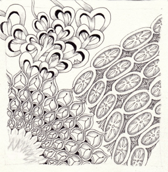 Die 1376. Daily New Challenge