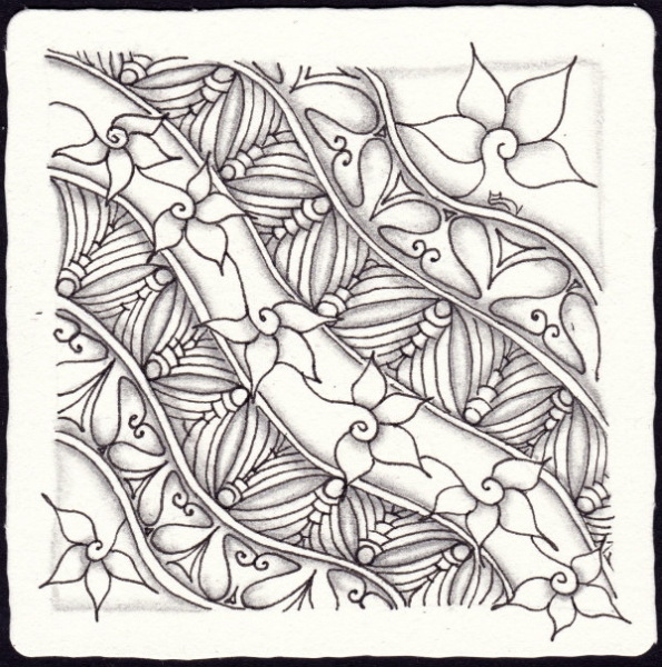 Die 1571. Daily New Challenge