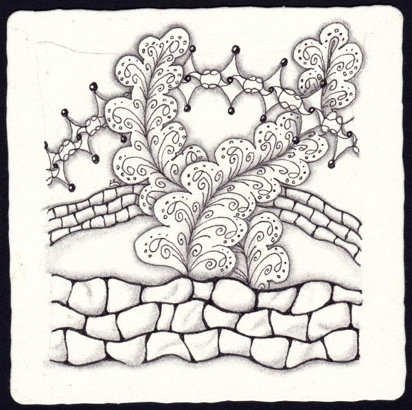 Die 1591. Daily New Challenge