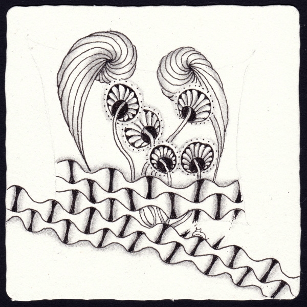 Die 1593. Daily New Challenge
