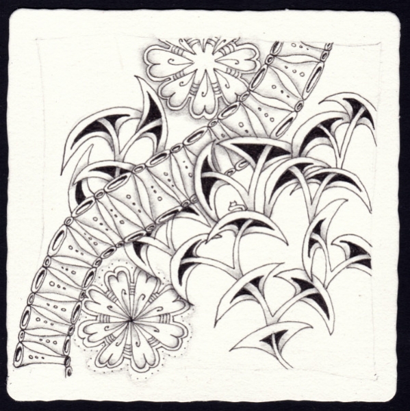 Die 1619. Daily New Challenge