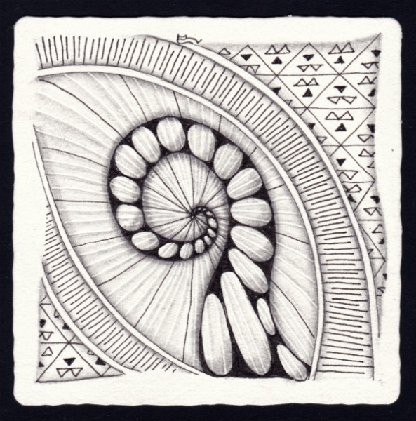 Die 1620. Daily New Challenge