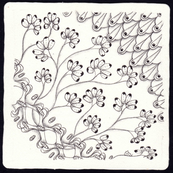 Die 1641. Daily New Challenge