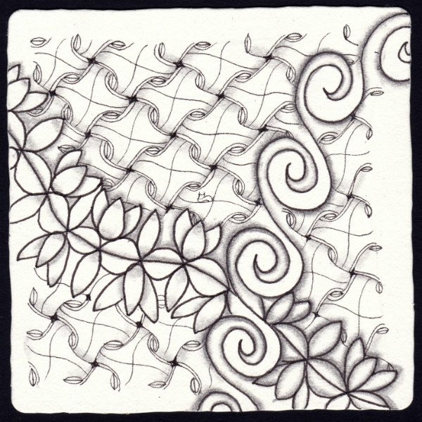 Die 1644. Daily New Challenge