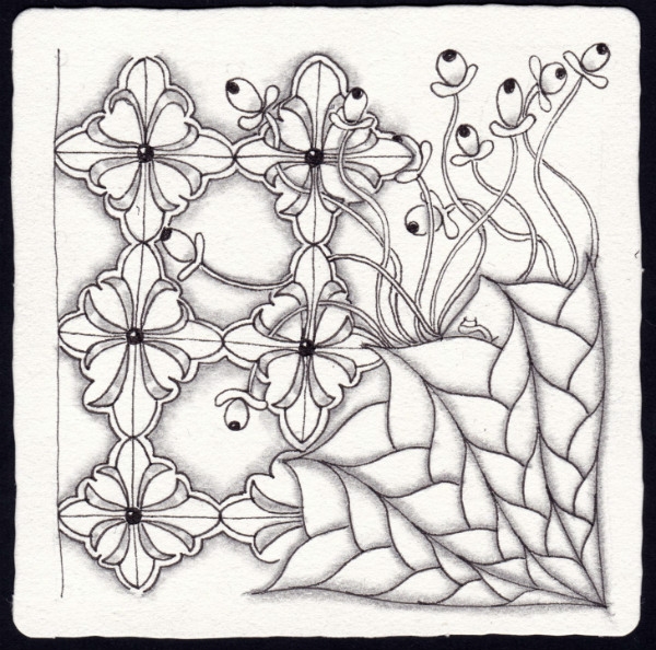Die 1656. Daily New Challenge