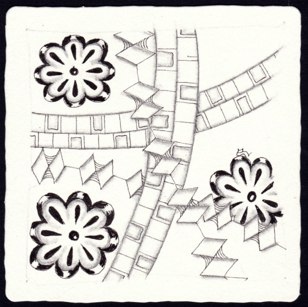 Die 1662. Daily New Challenge