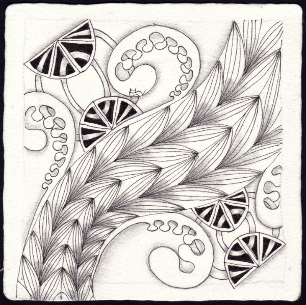 Die 1681. Daily New Challenge