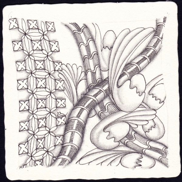 Die 2043. Daily New Challenge