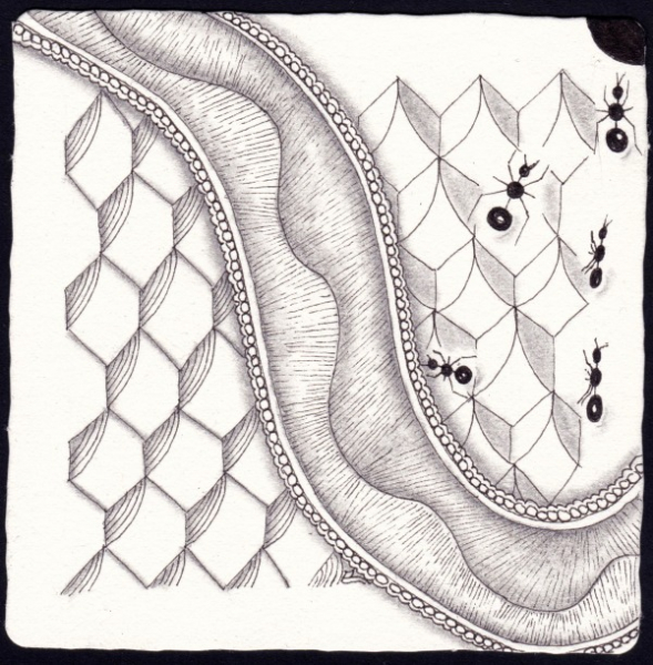 Die 2048. Daily New Challenge