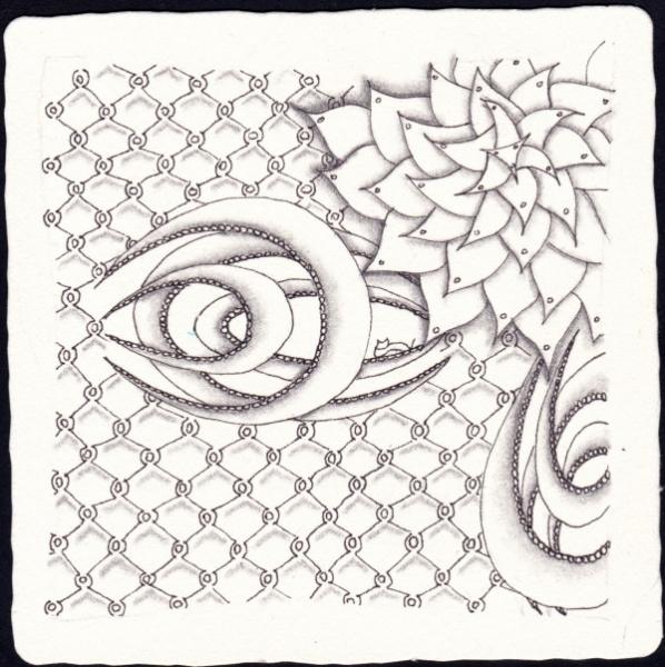Die 2085. Daily New Challenge