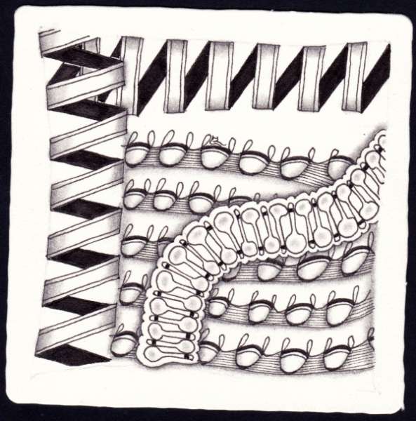 Die 2170. Daily New Challenge