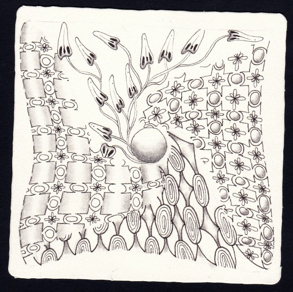 Die 2246. Daily New Challenge
