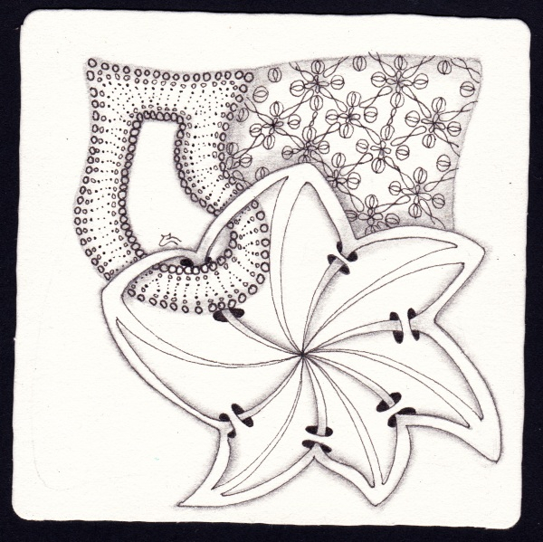 Die 2250. Daily New Challenge